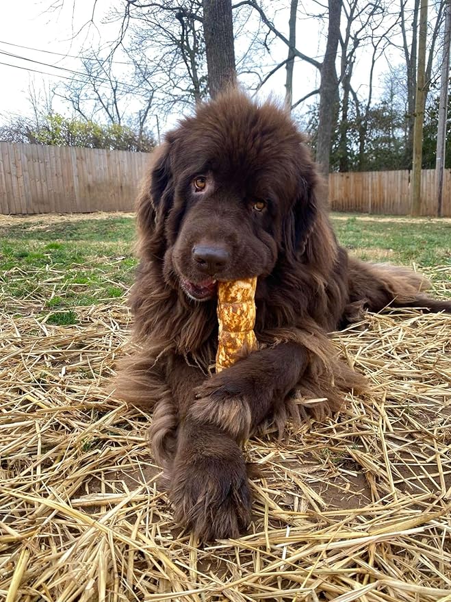 Redbarn Pet Products All-Natural Small/Medium Beef Cheek Rolls for Dogs, Chicken & Carrot Glazed - Single Ingredient Grain-Free Chew Treat Naturally Rich in Collagen - 5 Pack - Packaging May Vary