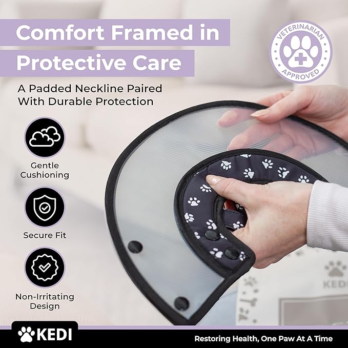 Cat Recovery Cone Kit Post Surgical Soft Pet Vest, Collar, and Non-Irritating Protection Cone for Cats - Comfortable Injury Care Solution (Black with White Paws, Small)