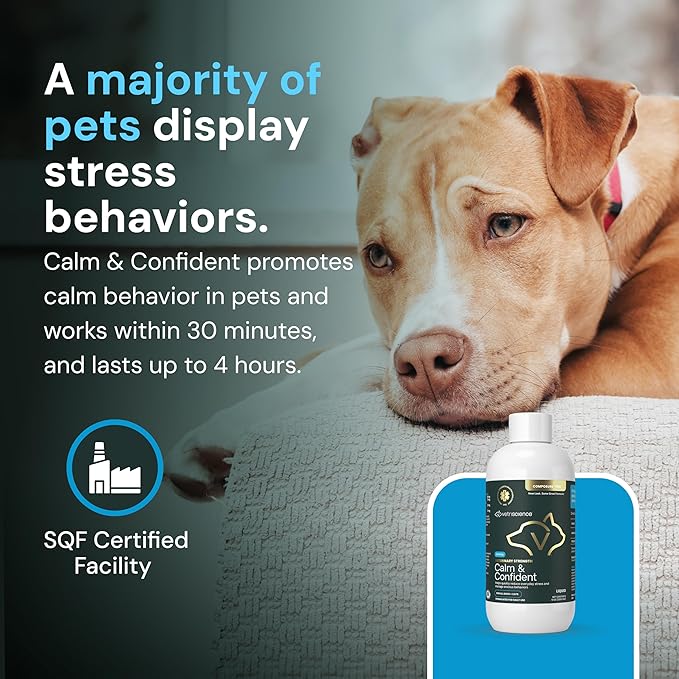 VetriScience Veterinary Strength Calm & Confident Liquid - Liquid Calming Supplement for Dogs & Cats - Pet Relaxation Formula - Clinical Strength - Easy to Administer - Unflavored - 8 oz