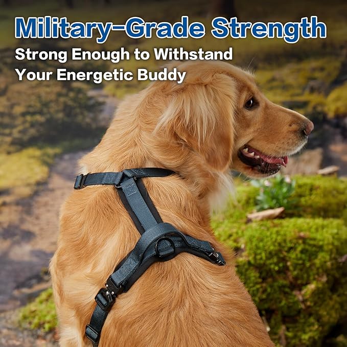 PawsPassion Dog Harness for Medium Dogs, No Pull Dog Harness Easy Walk with Metal Hardware, Ergonomic Y-Shaped Design, Soft Padding, Padded Handle, Durable High-Tensile Nylon (Nightfall, M)