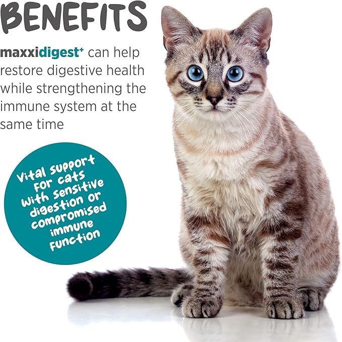 maxxipaws maxxidigest+ Prebiotic & Probiotic for Cats 7oz | Cat Probiotic Powder with Advanced Digestive Enzymes for Gut Health & Immunity | Supports Digestion, Food Sensitivities & Itchy Skin