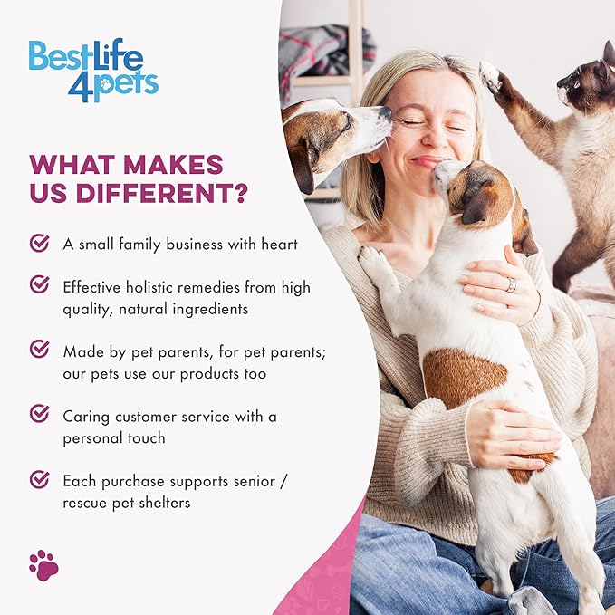 Cat Hyperthyroid & Gentle Weight Gain Support for Cats and Kittens - Natural Feline Thyroid Balance for All Ages in Odorless Easy to Use Tiny Pills That Improve Appetite, Coat & Energy (400 Pills)