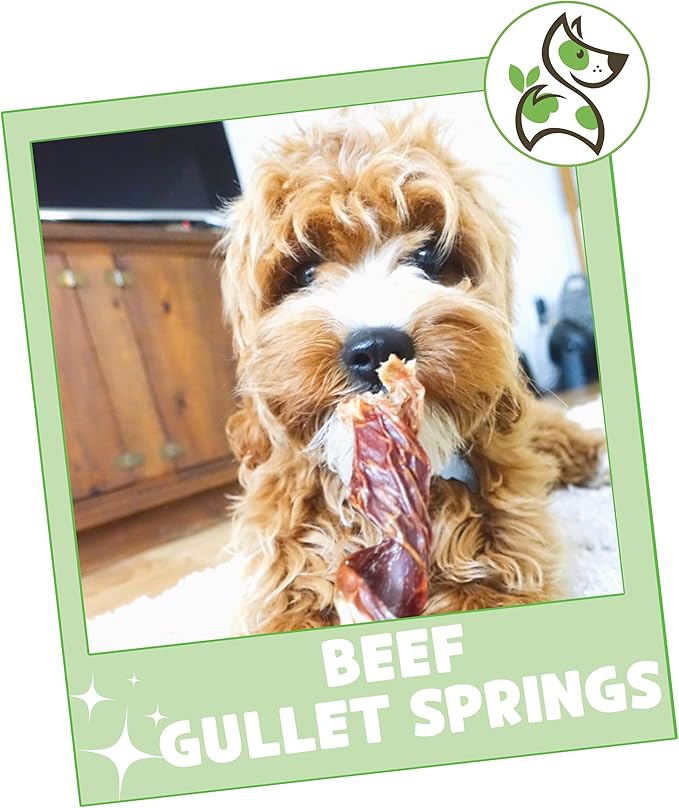 Nature Gnaws Beef Gullet Springs for Dogs 7-8" (12 Count) - Natural Beef Jerky Stick Dog Chew Treats - Rawhide Free