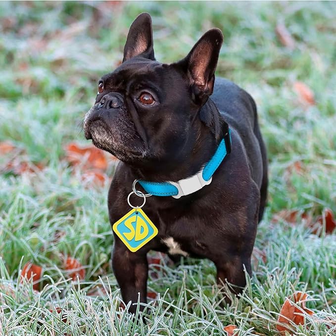 Dog Halloween Costumes, Pet Costumes, 2 Pack SD Collar Tags for Large Small Medium Big Extra Large XS XL XXL Pet Puppy Dog, Halloween Decorations for Pet Puppy