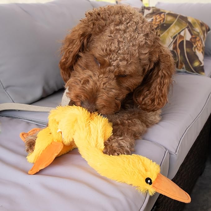 FGA MARKETPLACE Duck Flat NO Stuffing NO Squeak Plush Dog Toy, Funny Style Will Entertain Your Pet for Hours, Recommended for Small and Medium Dog 21 INCH Long