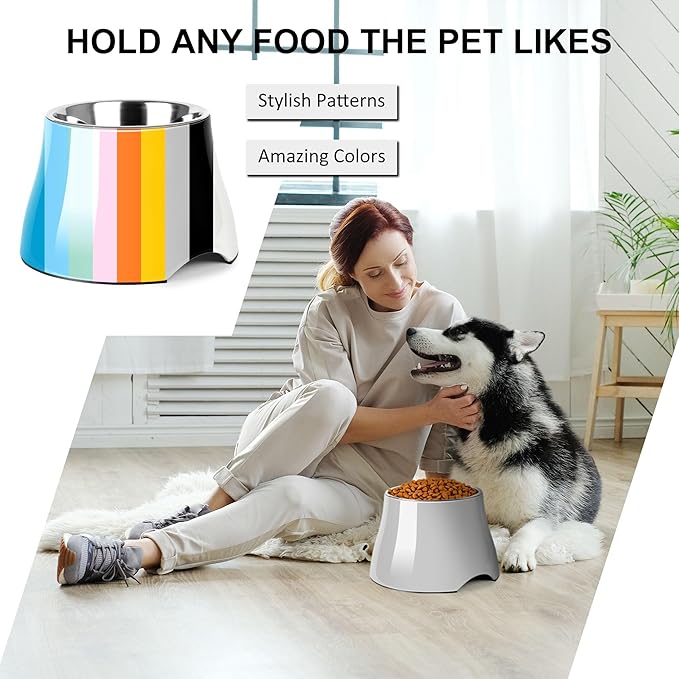 Dog Bowls,Cone Friendly Non Slip Single Dog Bowl with Stainless Steel Inner, Raised Bowls for Small and Medium Dogs Spaniel Dogs Long Ear, High Capacity, L/3 Cups Gray