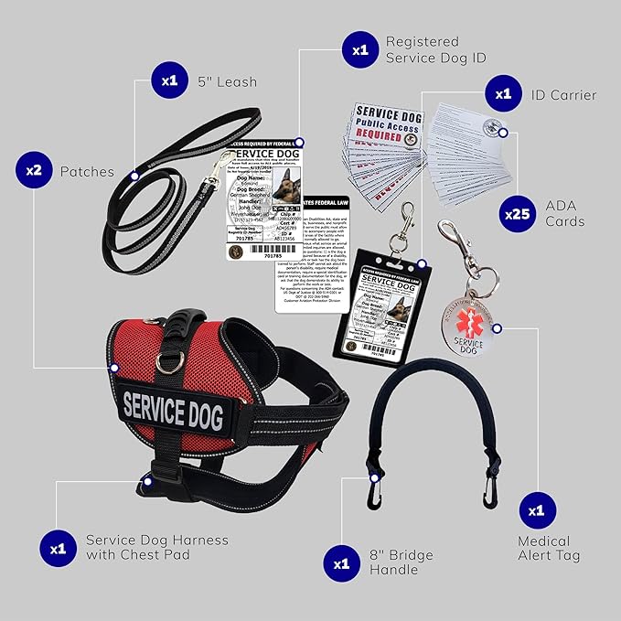 ActiveDogs Full Service Dog Kit - Small Red - Dog Vest Harness with Handle, Service Dog ID, ID Holder, ADA Service Dog Cards, Medical Alert Keychain, ID Dog Leash & Service Patches