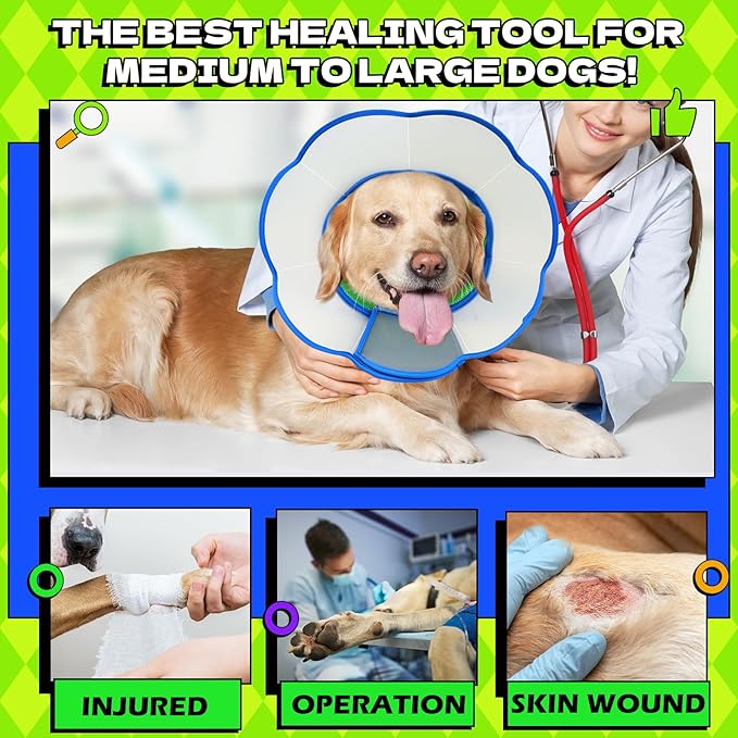 Hard & Heavy Plastic Dog Cone Collar Alternative for Small Dogs (Yorkshire Pomeranian), Adjustable Elizabethan Neck Protective Cone for Healing, Comfortable Pet Recovery Collar Cone of Shame Anti-lick