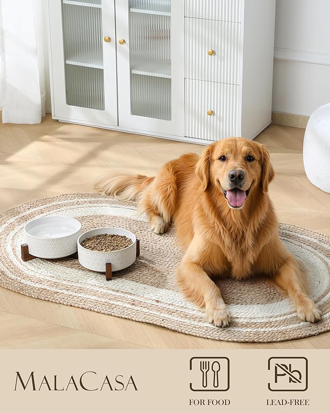 MALACASA Dog Bowl Set with Walnut Wood Stand, 6 Cups Ceramic Pet Bowls for Puppy Dogs, Dual Food and Water Bowls with Non-Slip Base, Basic Bowls for Your Dog, Five-Leaf Grass & Honeycomb