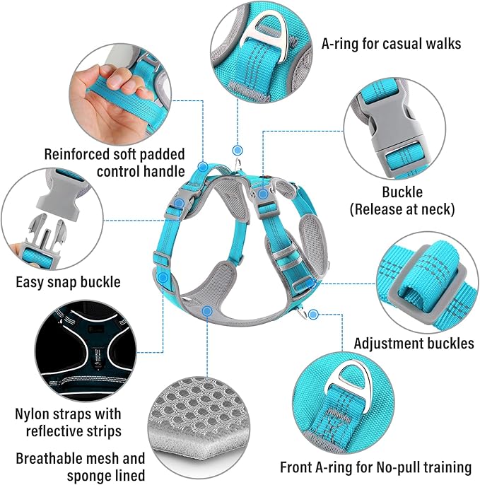 Plutus Pet No Pull Dog Harness, Release at Neck, Reflective Adjustable Dog Vest Harness, Easy Control Handle for Walking, for Small Medium Large Dogs, Cyan, M