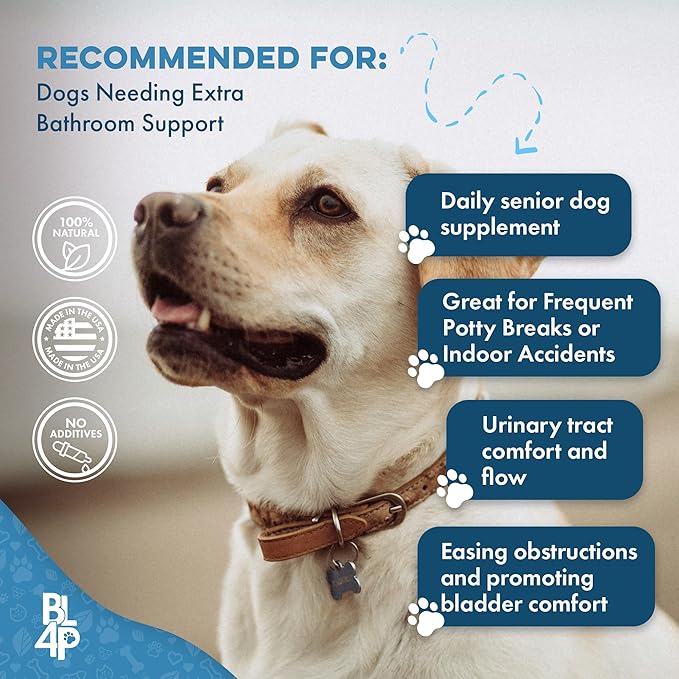 BestLife4Pets Dog UTI Kidney Support, Natural Urinary Tract Infection Treatment, Renal and Bladder Control Supplement, Easy to Use Pills 2 Pack