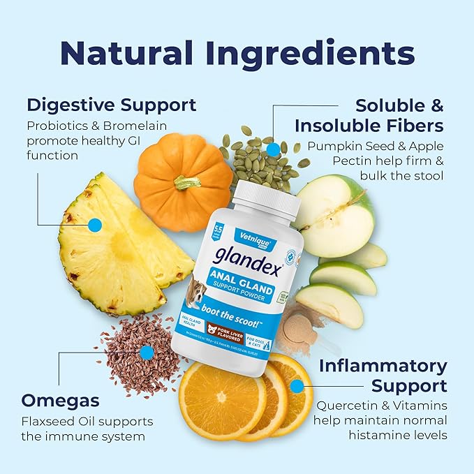 Vetnique Glandex Dog Fiber Supplement Powder for Anal Glands with Pumpkin, Digestive Enzymes & Probiotics - Vet Recommended (Regular or Advanced Strength) - Boot The Scoot (5.5 oz, Pork Liver)