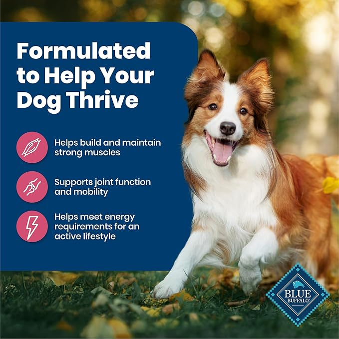 Blue Buffalo Life Protection Formula Adult Dry Dog Food, Helps Build and Maintain Strong Muscles, Made with Natural Ingredients, Salmon & Brown Rice Recipe, 15-lb. Bag