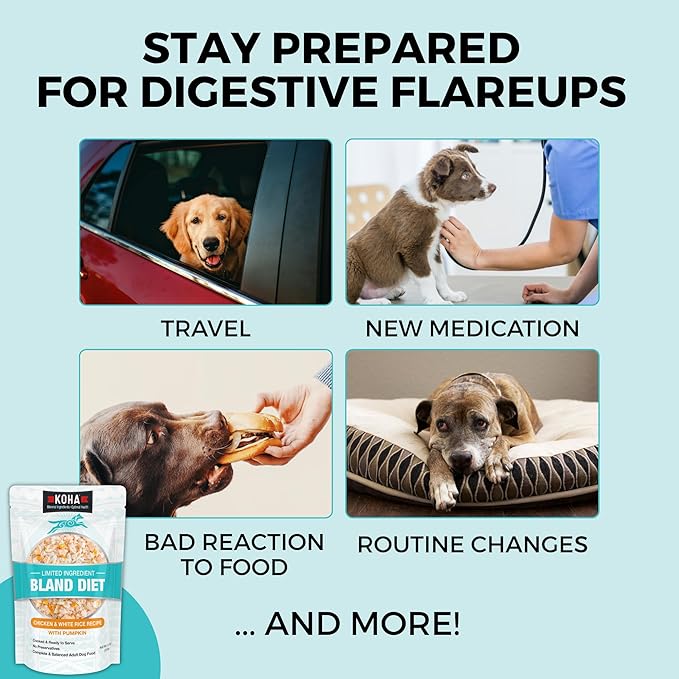 KOHA Limited Ingredient Bland Diet for Dogs, Chicken and White Rice Sensitive Stomach Wet Dog Food, Sold in Over 5,000 Vet Clinics & Pet Stores, Gentle Easy to Digest Bland Diet Dog Food, Pack of 6