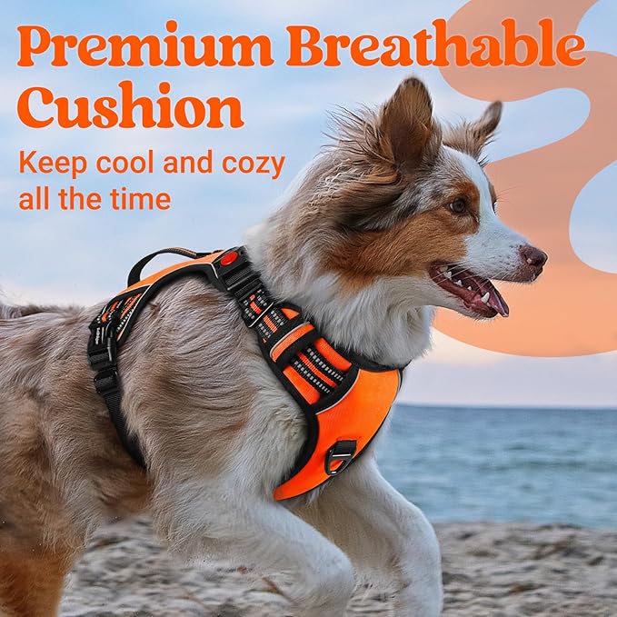 rabbitgoo Dog Harness Small Sized Dog, No Pull Pet Harness with Soft Padded Handle, Adjustable Reflective Vest with 3 Buckles, Easy Walking Harness with 2 Leash Clips, Orange, S