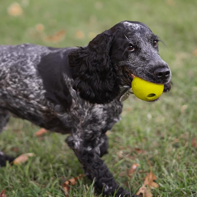 Chew King Flavored Rubber Ball Collection, 2.5 Inch Chicken Flavor Rubber Balls 3-Pk
