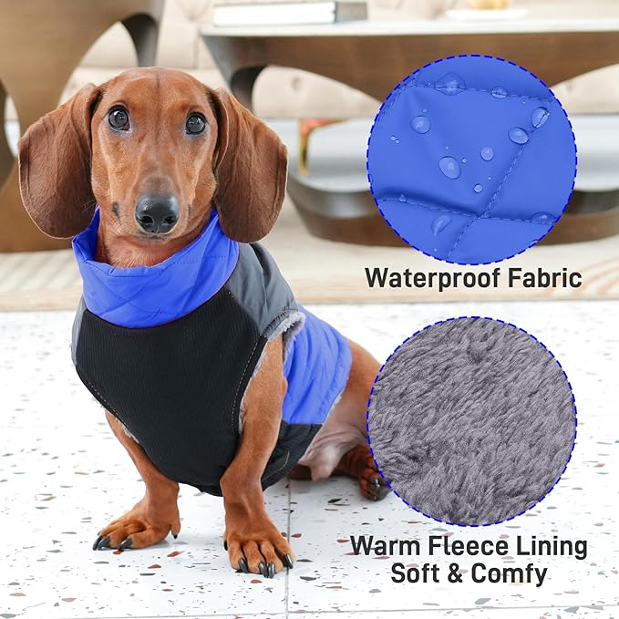 Warm Fleece Dog Coats for Small Dogs,D-Rings Waterproof Puppy Jacket for Cold Winter,Blue S