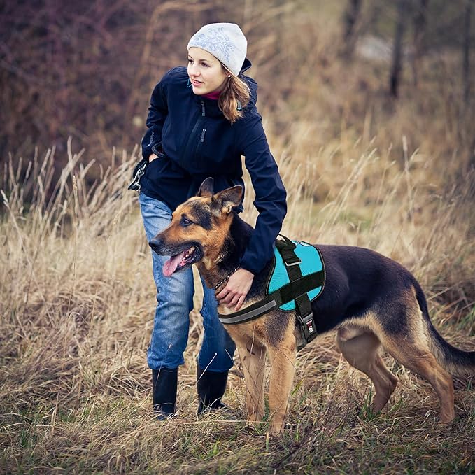 Dogline Dog Harness, Reflective No-Pull Adjustable Vest with Handle for Walking, Training, Breathable, No - Choke Harness for Small, Medium or Large Dogs Room for Patches Girth 27 to 34 in Turquoise