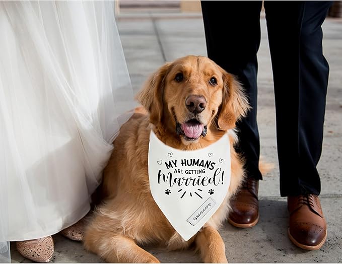 Realeaf My Humans are Getting Married Dog Bandana,Wedding Outfit for Boy and Girl, Premium Durable Fabric, Engagement Announcement for Large and XLarge Dogs (Small)