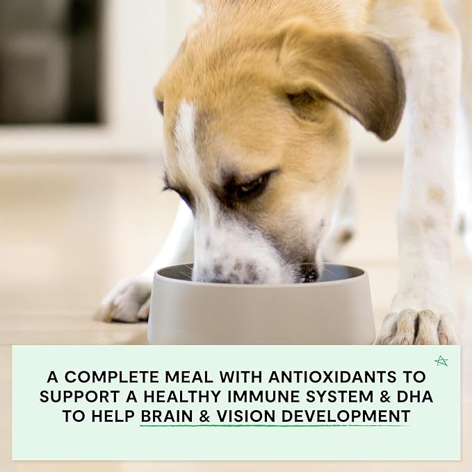 Open Farm, Grain-Free Dry Dog Food for Puppies, Protein-Packed Kibble, Sustainably & Ethically Sourced Ingredients, Non-GMO Veggies & Superfoods, Salmon & Sweet Potato Puppy Recipe, 4lb Bag