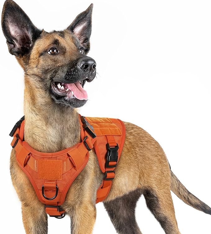 rabbitgoo Tactical Dog Harness for Small, Heavy Duty Pet Harness with Handle, No-Pull Service Vest Small Breed, Adjustable Military Dog Vest for Training Hunting Walking, Orange, S