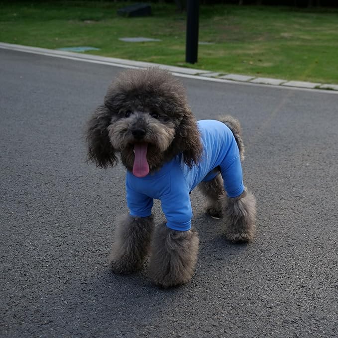 LoveLongLong Dog Jumpsuit with UV Protection and Quick-Dry Fabric for Spring Summer Pet Pajamas Sea Blue M