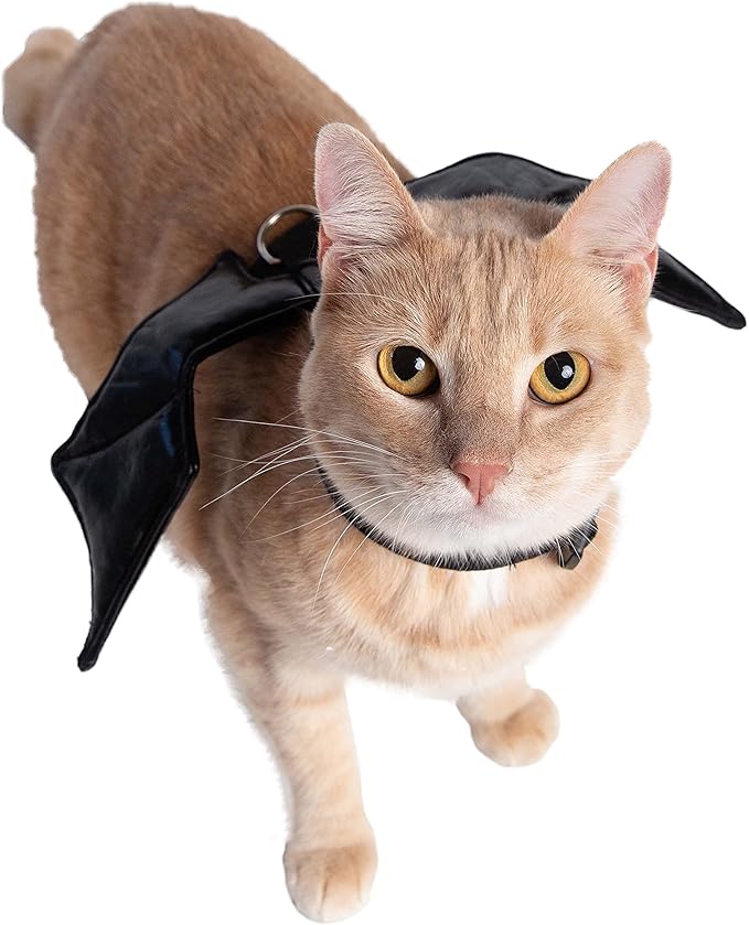 Pet Krewe Bat Cat Costume - Bat Wings - Harness Attachment, One Size Fits All - Perfect for Halloween, Christmas Holiday, Parties, Photoshoots, Gifts for Dog Lovers (One Size)