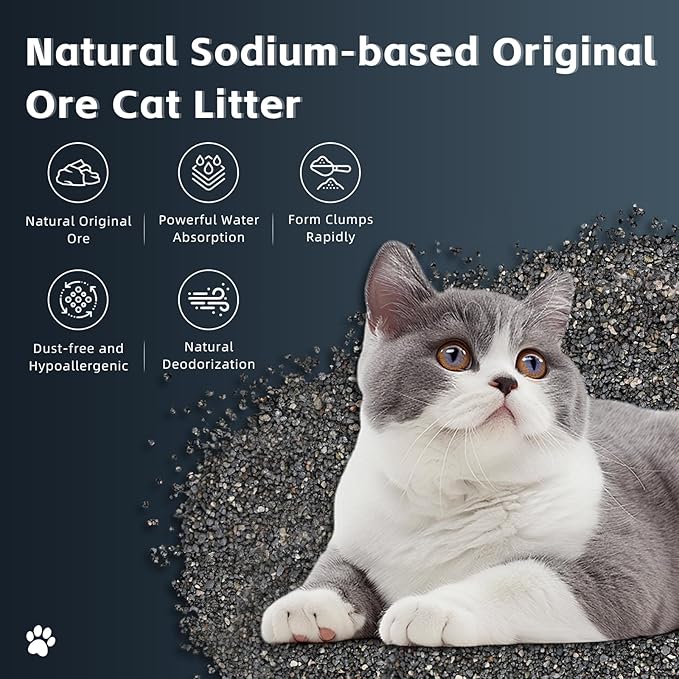 Natural Sodium-Based Raw Mineral Cat Litter | Dust-Free, Ultra Absorbent, Odor Control | Eco-Friendly, Low Tracking, Clumping Cat Litter (2 * 9.9LBS_Black Diamond)