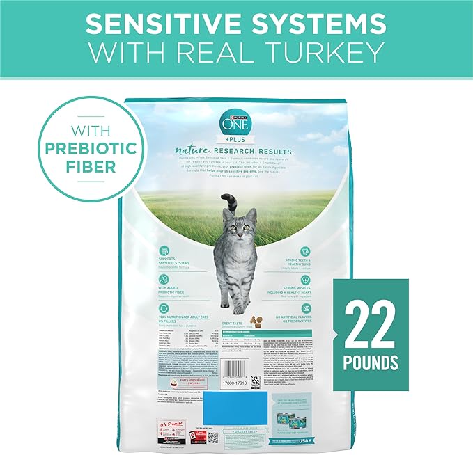 Purina ONE Sensitive Stomach, Sensitive Skin, Natural Dry Cat Food, +Plus Sensitive Skin and Stomach Formula - 22 lb. Bag