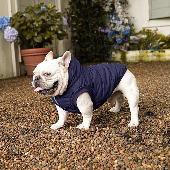 Fleece Lining Extra Warm Dog Hoodie in Winter,Small Dog Jacket Puppy Coats with Hooded,Blue XS