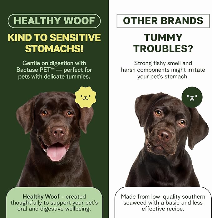 Dog Dental Powder with Icelandic Kelp, Enzymes & Green Tea – Dog Breath Powder & Tartar Remover – Dental Cleaning for Dogs – 8.5 oz (120 Servings)