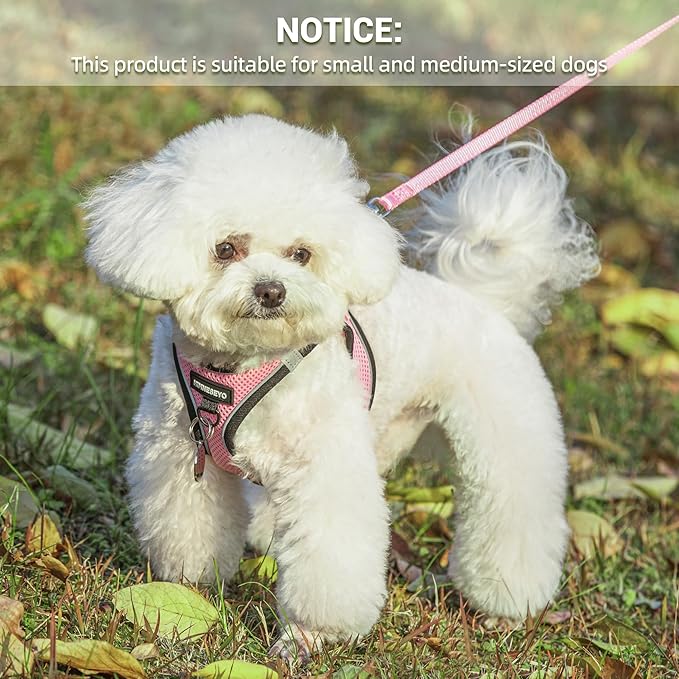 Dog Harness and Leash Set, Dog Harness for Dogs No Pull, No-Chock Step-in Reflective Breathable Lightweight Easy Walk Vest Harnesses with Safety Buckle for Small Medium Dogs, Cats (Pink, XS)