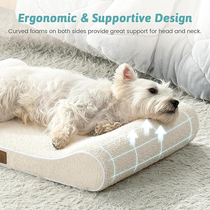 Orthopedic Dog Bed for Small Dogs up to 35 lbs - Removable Washable Cover with Waterproof Lining & Non-Skid Bottom, Cotton-Polyester Blend Boat-Shaped Lounger Mattress, S(30x20x5in), Beige