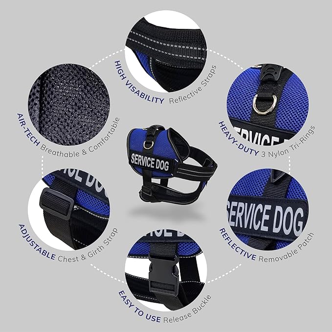 ActiveDogs Full Service Dog Kit - XL Blue - Service Vest Harness with Handle, ID Holder, ADA Cards, Medical Alert Keychain, Leash & Patches