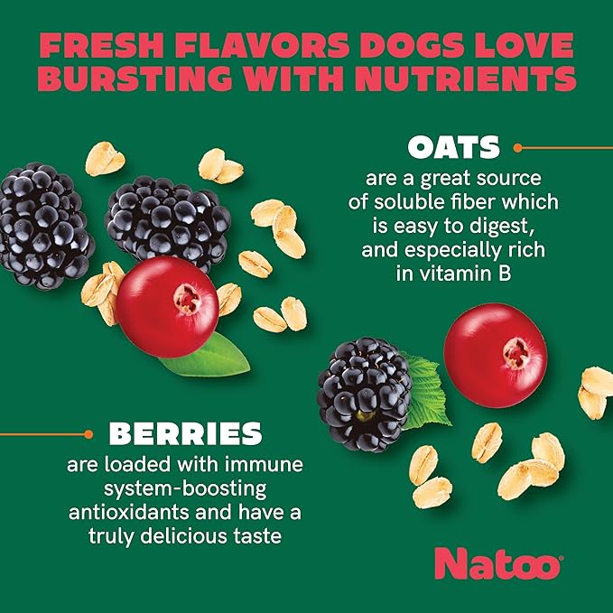 NATOO Biscuits for Small Dogs & Puppies Crunchy Dog Treats, Oats & Berry Healthy Natural Canine Biscuits, Rich in Omega 6, Prebiotics & Fibers, Antioxidants for Immunity (8 oz)