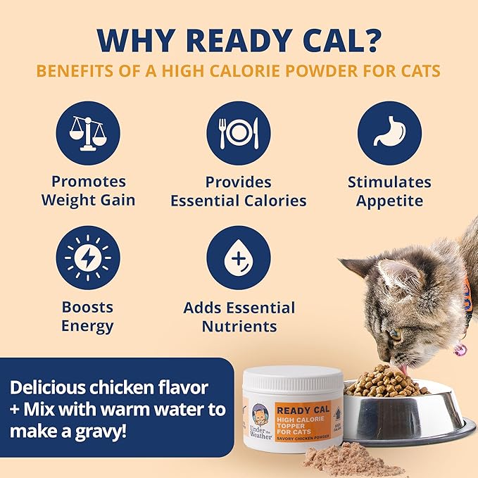 Under the Weather Ready Cal Powder for Cats | High-Calorie Weight Gainer & Appetite Stimulant | Cat Energy Booster Veterinarian-Approved Pet Supplement with Vitamins & Minerals | Chicken Flavor