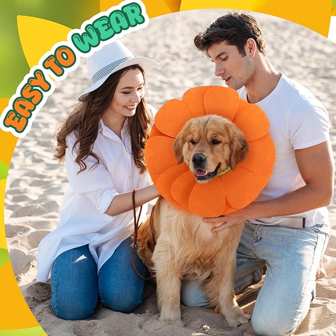 Pet Sun Flower Hat Halloween Pet Sunflower Costume for Dog Cat Puppy Dress up Collar Costume Hat Outfit Cosplay Halloween(Large)