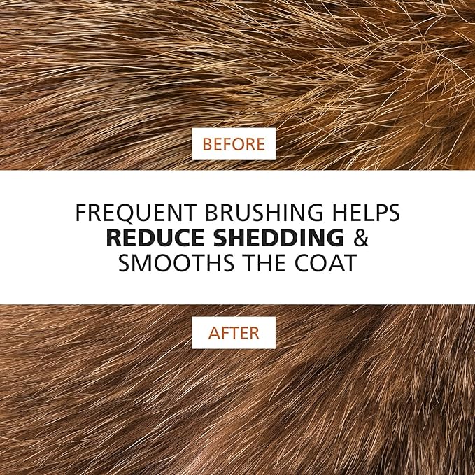 Wahl Premium Pet Double Sided Pin Bristle Brush with Patented Stacked Pin Design for Dogs - Removes Loose Hair & Stimulates the Skin while Creating a Soft Coat Shine - Model 858501