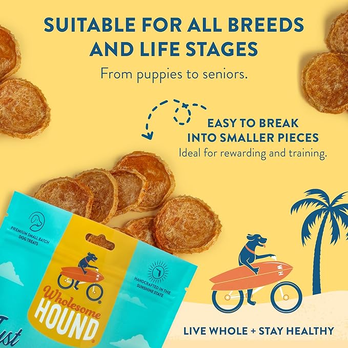 Just Chicken Chips | Premium Single Ingredient & Healthy Dog Treats | All Natural | Training Treats for Small to Large Dogs | Made in USA - 8oz