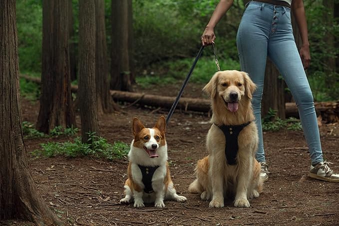 Dog Harness, No Pull Dogs Harness and Multi-Function Leash Set for Medium Dogs Easy Walk Everyday Adjustable Soft Dog Vest Harness Fashionable Dog Accessories Black-Button-Relaxed Medium