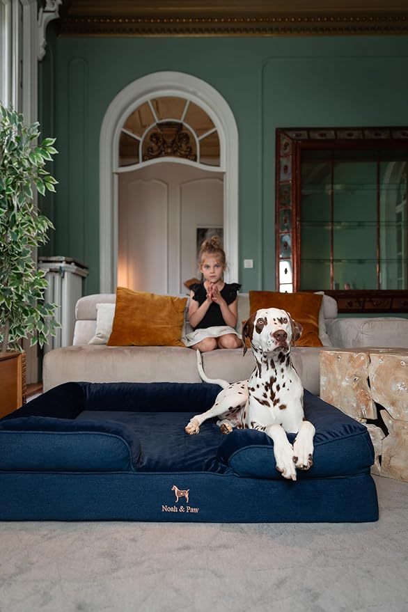 NOAH & PAW XL Dog Bed, 45x35x11 Inch, Orthopedic Large Dog Beds, Eggshell Memory Foam Infused with Cooling Gel, Inner Cover, Waterproof, Machine Washable (Denim Sofa Collection)