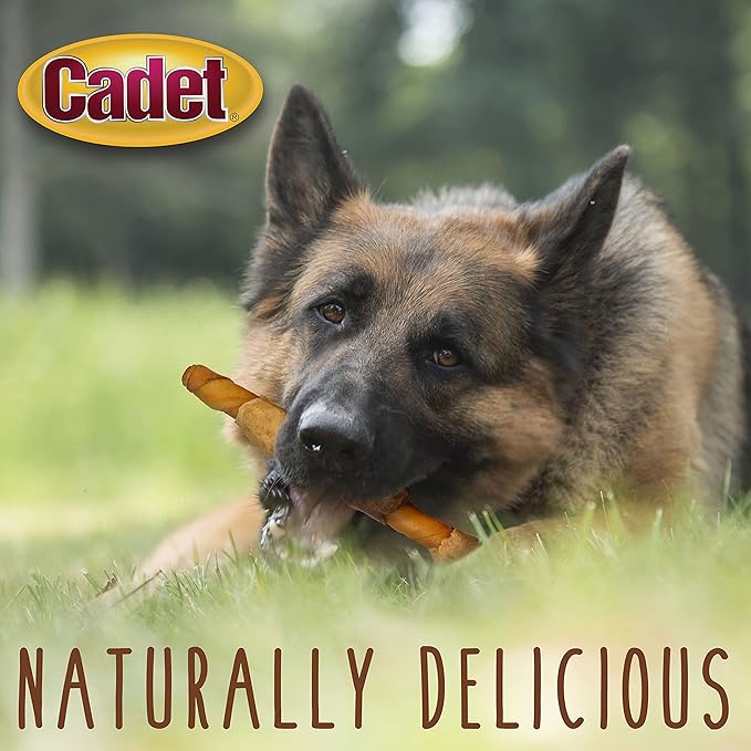 Cadet Gourmet Shish Kabob Dog Chews for Large Dogs, Rawhide Treats with Chicken and Sweet Potato, Healthy & Natural Pork Hide, 10-Inch Sticks, 4 Count