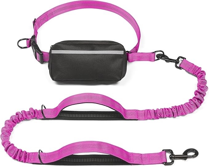 iYoShop Hands Free Dog Leash with Zipper Pouch, Dual Padded Handles and Durable Bungee for Walking, Jogging and Running Your Dog (Large, 25-120 lbs, Very Berry)