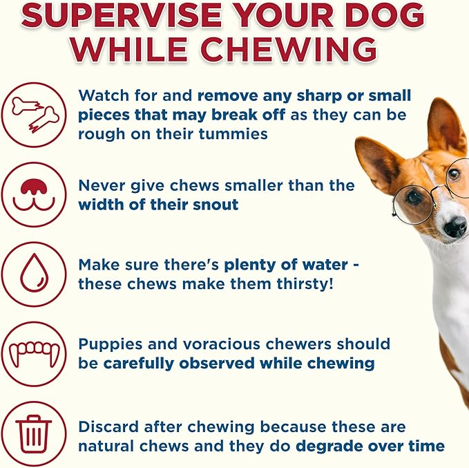 Best Bully Sticks Bacon and Cheese Filled Bones - 3-4 Inch 5 Count (Pack of 1) - Long Lasting, Refillable Stuffed Dog Bone Treats for Dogs