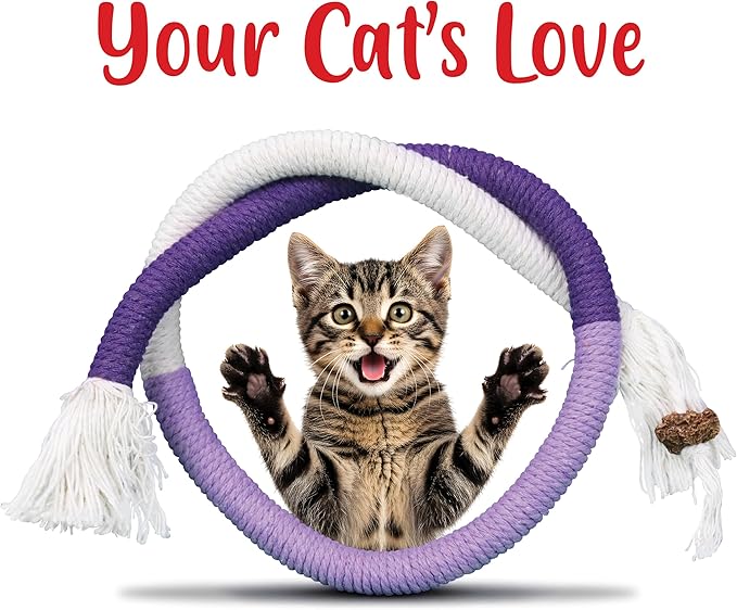 Cat Chew Rope - 6 Pack Cat Chew Toy for Teeth Cleaning, Interactive Kitten Teething Toys with Silvervine Stick to Transfer Chewing from Wires, Cotton String with Natural Silvervine Ball