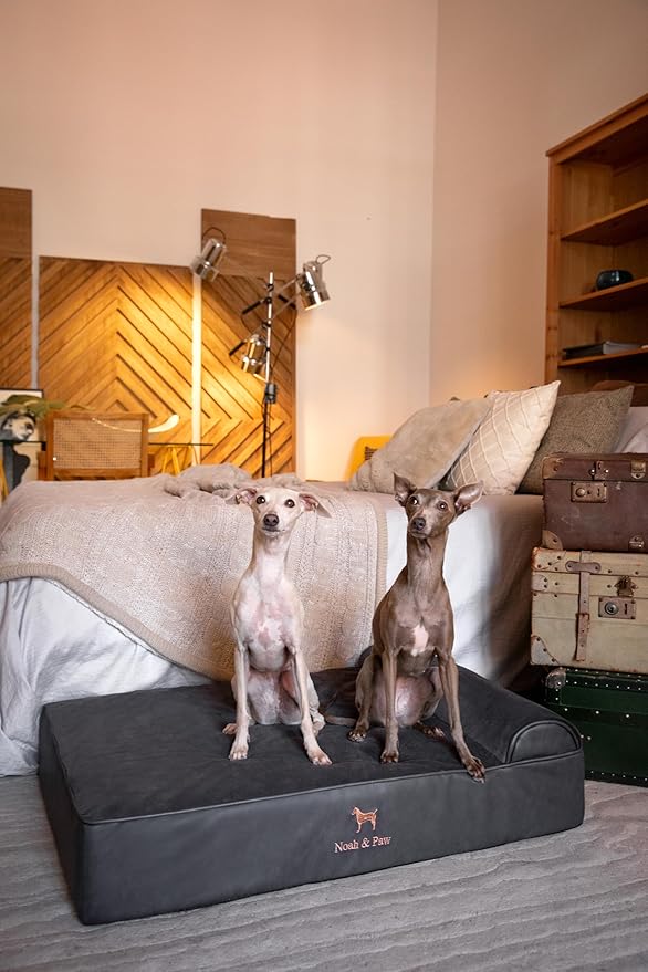 NOAH & PAW Large Dog Bed, 35x25x8.7 Inch, Orthopedic Dog Beds, Eggshell Memory Foam Infused with Cooling Gel, Waterproof, Machine Washable, Includes Inner Cover (Faux Leather)