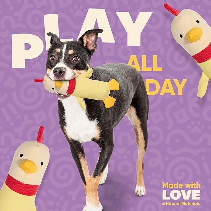 Yomp Chicken Dog Toy – Durable Stuffed, No Squeaker Dog Toys with Natural Canvas and Crinkle Paper – Interactive Stuffed Animal for Dogs (2-Piece Clucky Set)