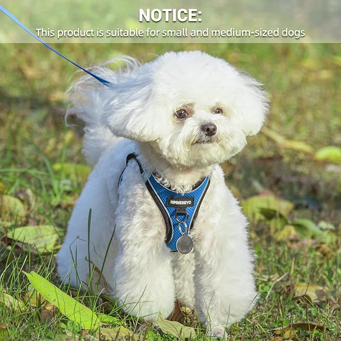 Dog Harness and Leash Set, Dog Harness for Dogs No Pull, No-Chock Step-in Reflective Breathable Lightweight Easy Walk Vest Harnesses with Safety Buckle for Small Medium Dogs, Cats (Blue, XXS)