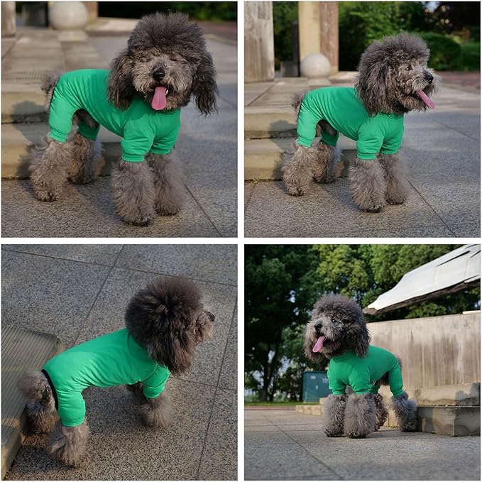 LoveLongLong Dog Jumpsuit with UV Protection and Quick-Dry Fabric for Spring Summer Pet Pajamas Leaf Green XL