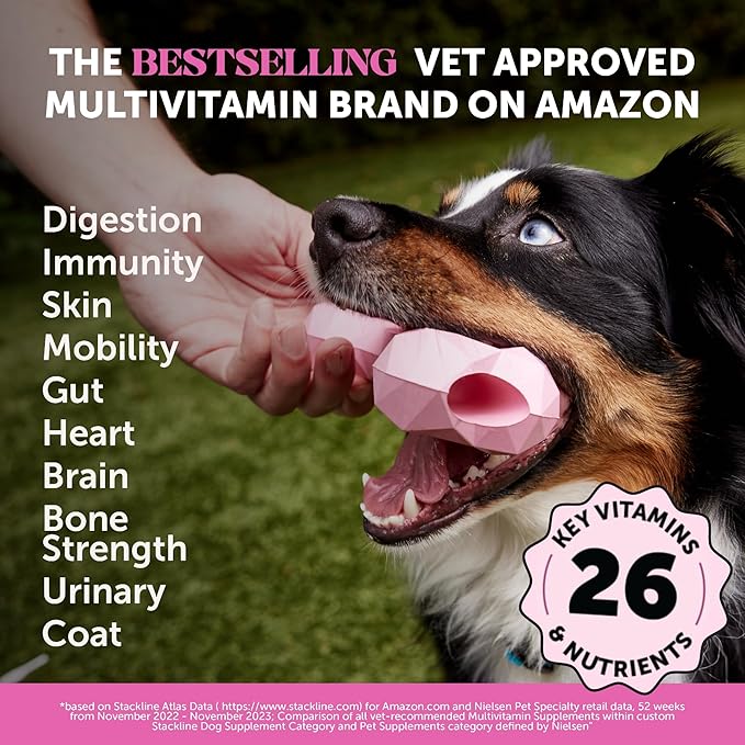 Multivitamin Dog Supplement, Glucosamine Chondroitin for Dogs, Probiotics, Omega Fish Oil, Dog Supplements & Vitamins, Vitamins for Skin and Coat Allergies (Chicken 90 ct)